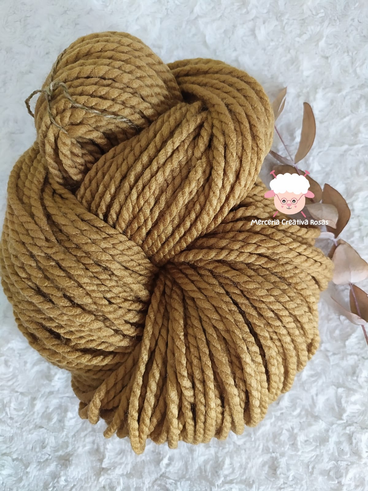 021 Camel