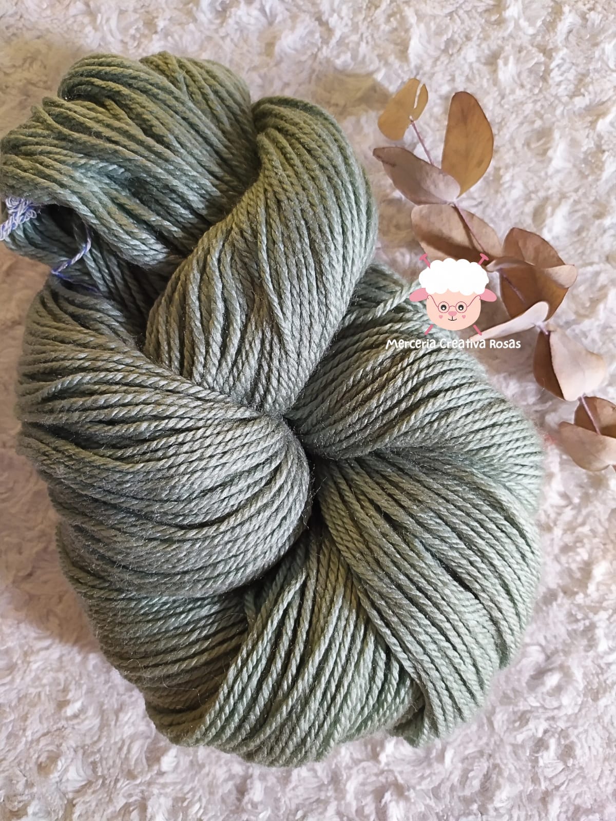 262 Malva