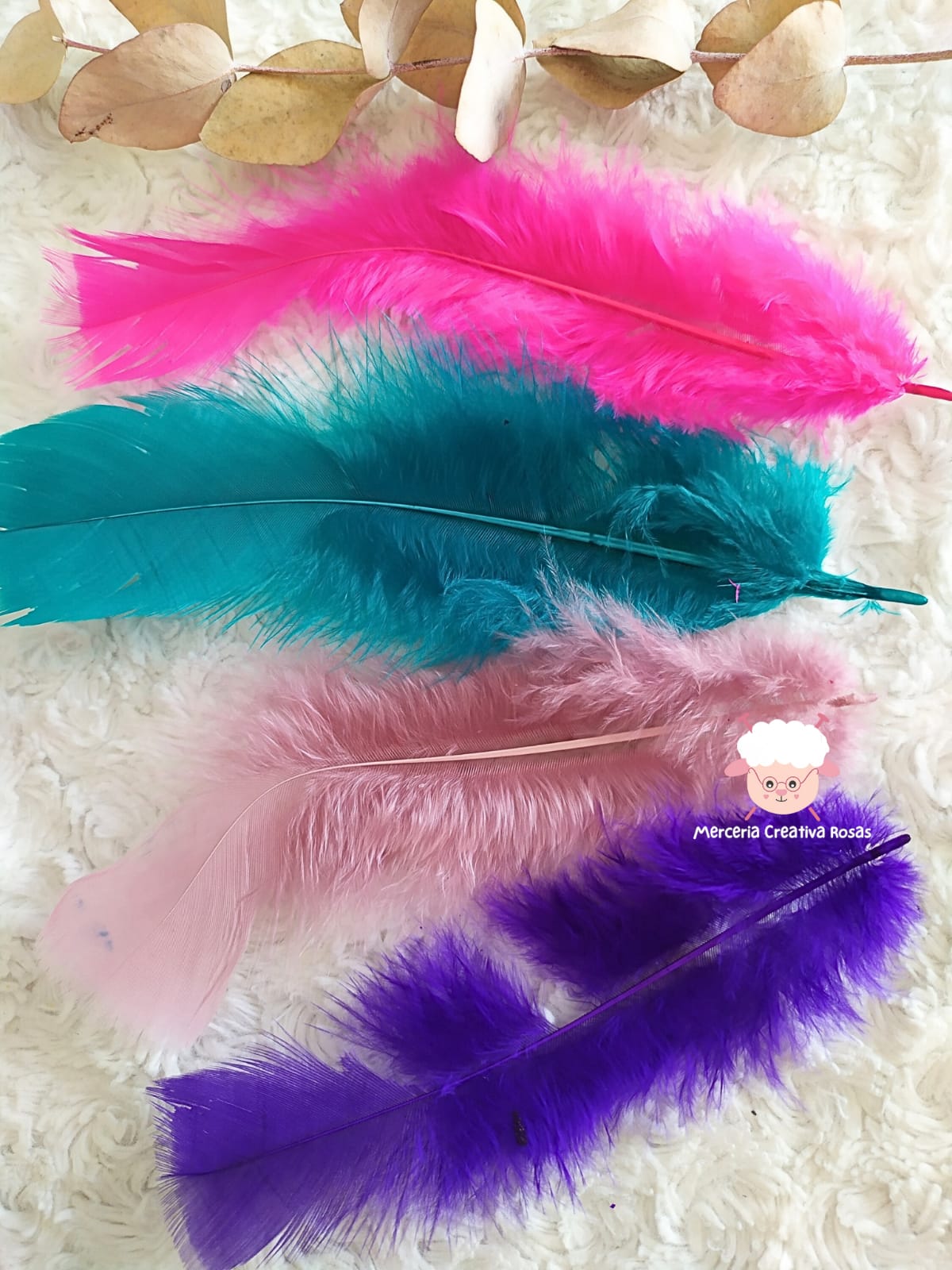 Plumas gallo GRANDE X10