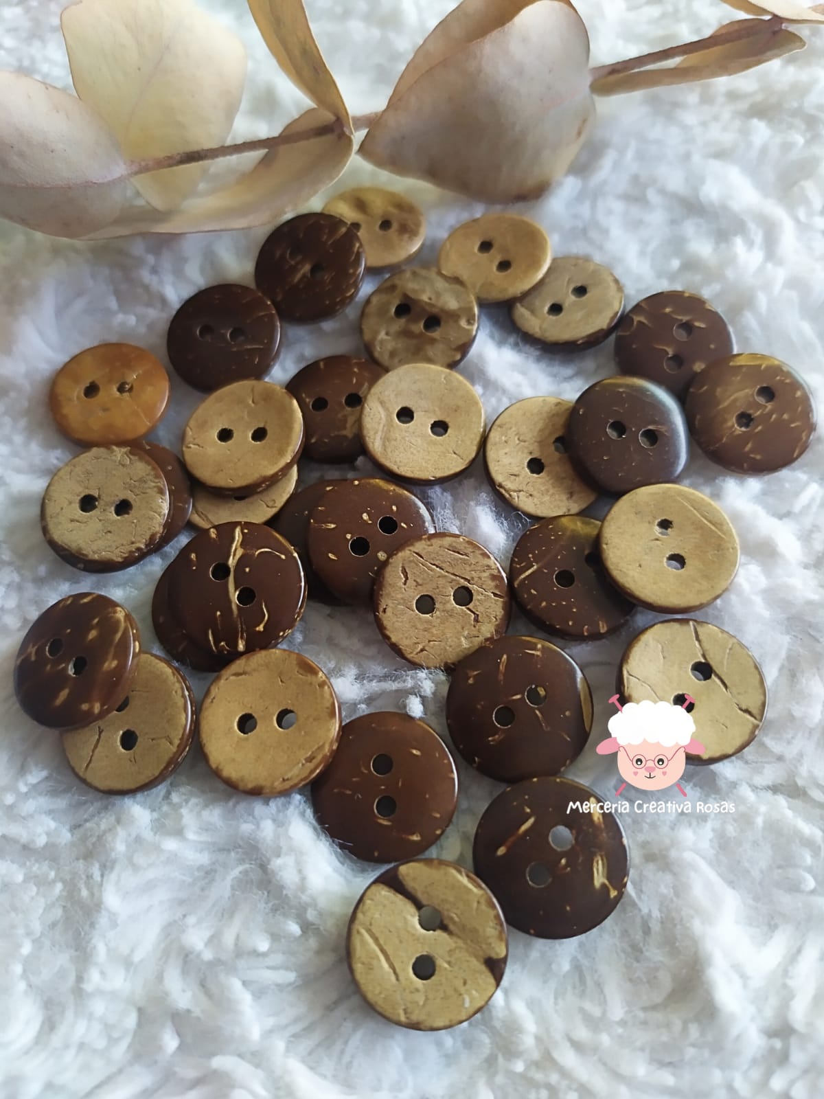 Boton de coco T22