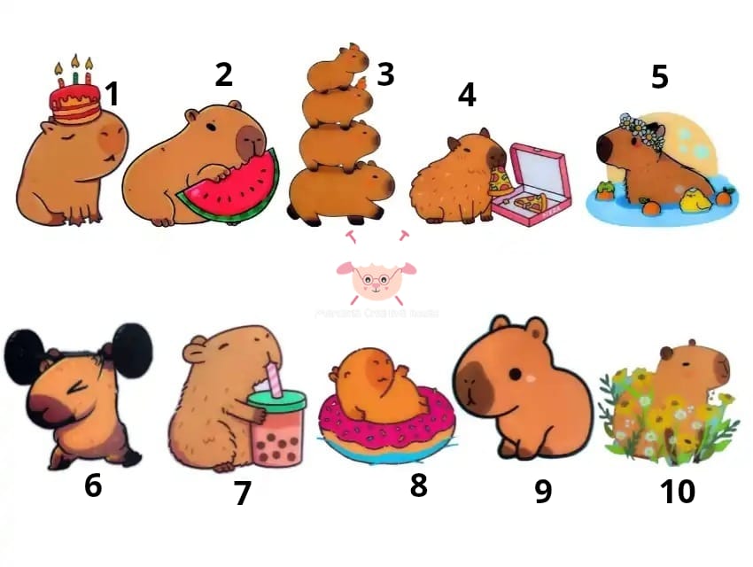 Aplicacion DTF capibara