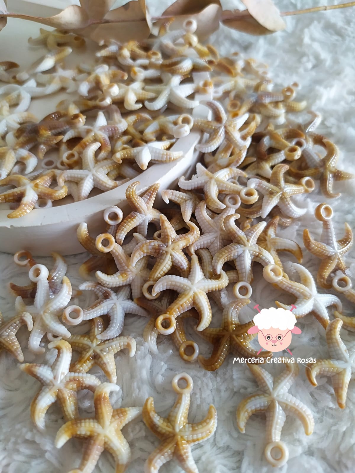 Estrellas de mar marmoladas