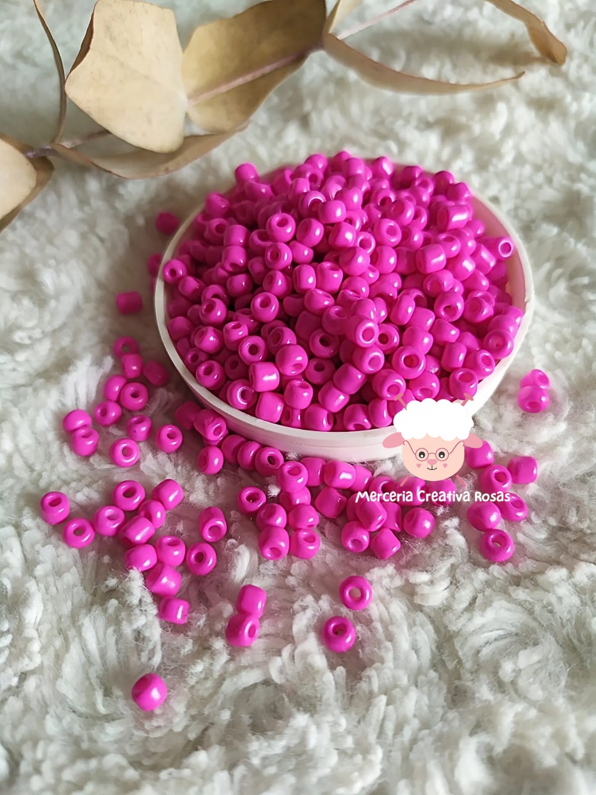 Fucsia